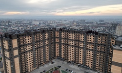 Февраль 2024